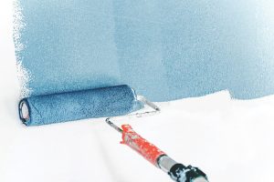 paint roller safety reclassifcation