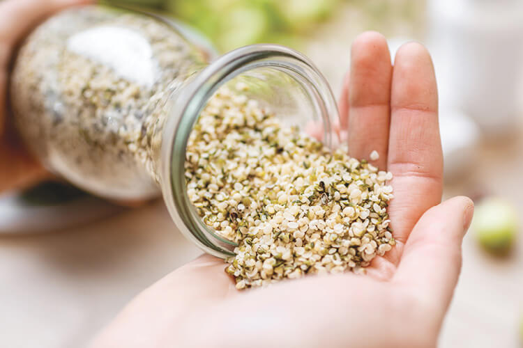 hemp seeds in jar for hemp production